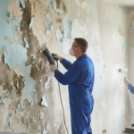 علاج رطوبة وتقشر جدران المنازل