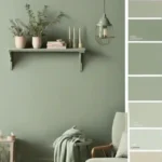 صباغ المنطقة العاشرة